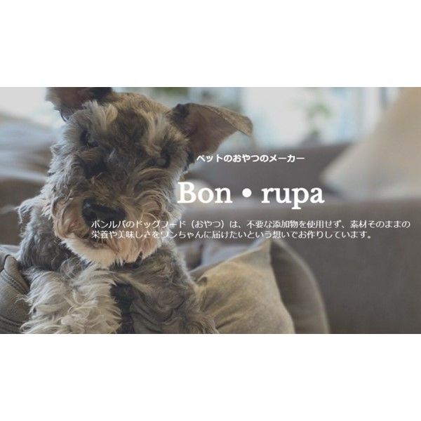 犬用 おやつ Bon・rupa ぷちキューブ（ちーず＆紫いも）国産 20g 1個