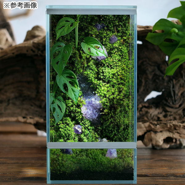 リーフ 形状お任せ 黒曜石 100g 809072 1個（直送品） - アスクル