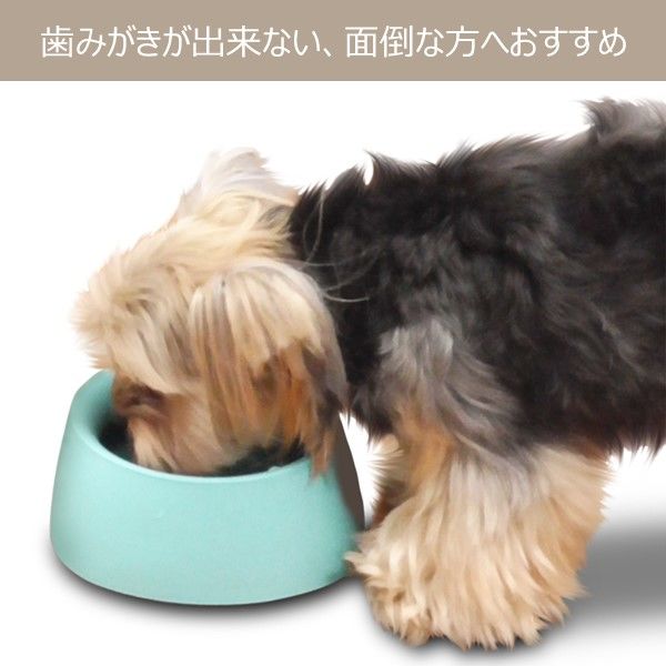 歯みがきを飲む 犬猫用 歯みがきラクヤー リキッド 100ml 1個 トーラス