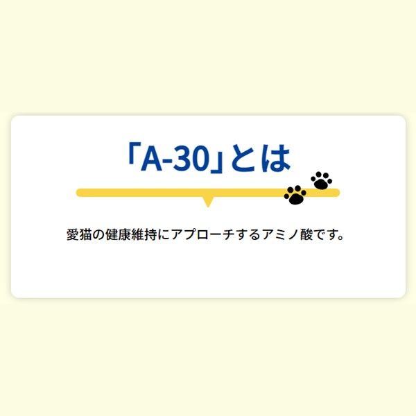 AIM30 猫 15歳以上の室内猫用 腎臓の健康ケア フィッシュ 国産 600g 1