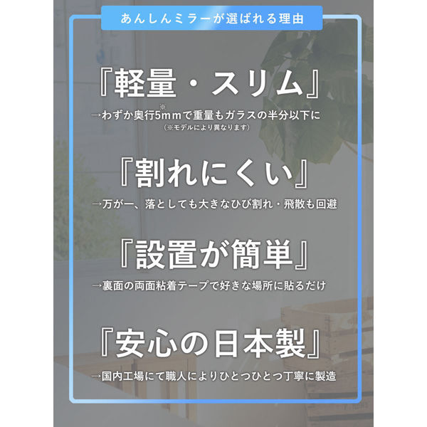 エージ あんしんミラー 幅320×奥行5×高さ540mm シルバー AN-LL 1枚 ...