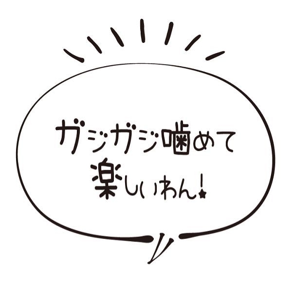 ドギーマン 無添加良品 犬 カムカムデンタルコーンぐるぐるボーン型 M チキン風味 1本 1袋 おもちゃ 歯みがき玩具