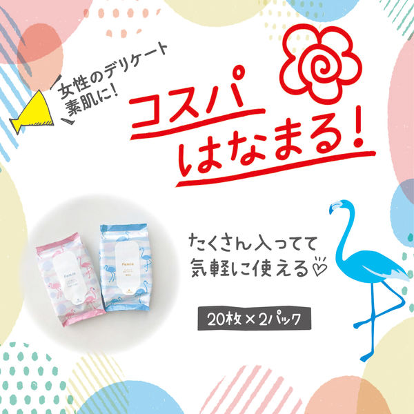 【48個セット】12枚✖️2個入　ユニチャーム デリケートウェットシート Amazon.co.jp: ソフィ デリケートウェットシート フローラルの