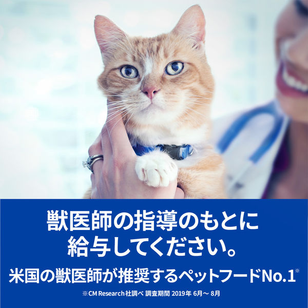 ［2袋セット］ヒルズ 猫用 k d 腎臓ケア ドライ 4kg