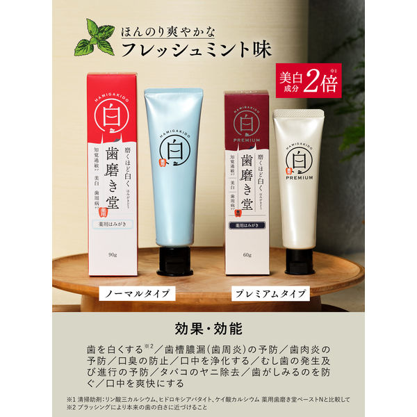 歯磨き堂 薬用ホワイトニングペースト プレミアム 【医薬部外品】 60g