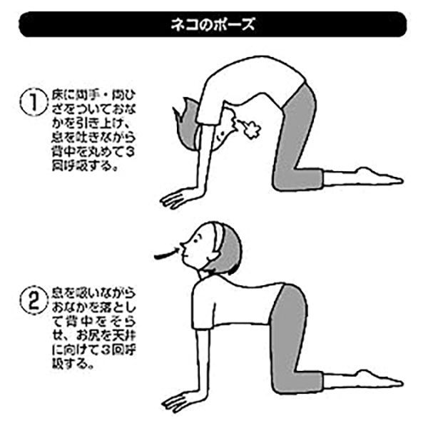 文響社 逆流性食道炎 消化器科の名医が教える 最高の治し方大全