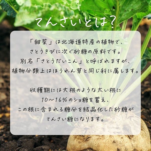 てんさいのお砂糖 600g 10袋 北海道産原料 オリゴ糖 てんさい糖 大東