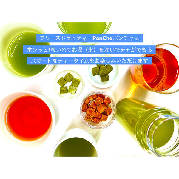 菱和園 ＰｏｎＣｈａポンチャ 緑茶 10粒 10g×12個 4977578410479（直送 