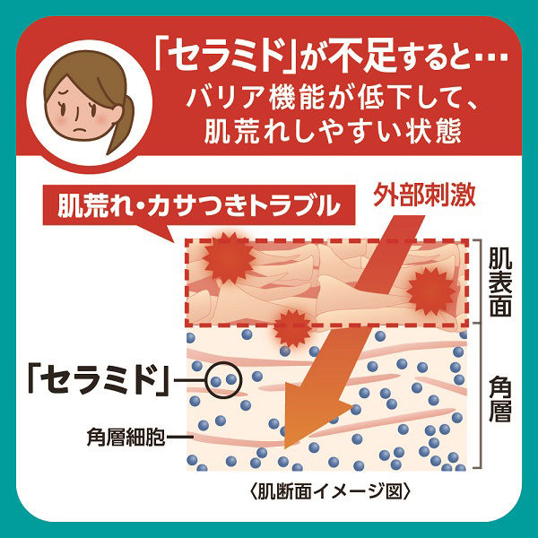 Kao キュレル 泡洗顔料 つめかえ用 ( 130ml )/ : 爽快ドラッグ