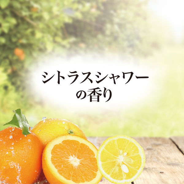 泡の洗顔料 ビタホイップ 本体 300mL シトラスシャワーの香り マックス 