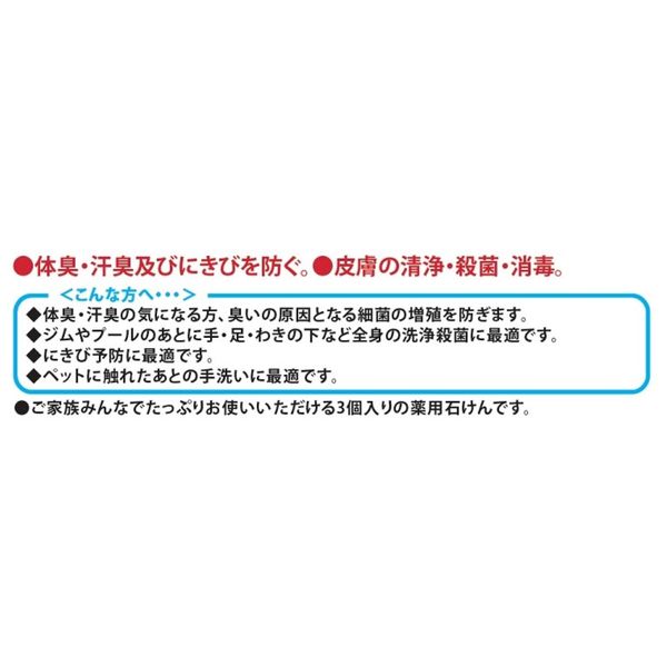 薬用エチケット石けん 100g×3個入 マックス - アスクル