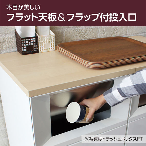 【軒先渡し】テラモト トラッシュボックスFTスリム オフホワイト かん・びん用 DS1894187 1台(直送品) 【軒先渡し】テラモト トラッシュボックスFTスリム オフホワイト かん・びん用 DS1894187 1台(直送品)