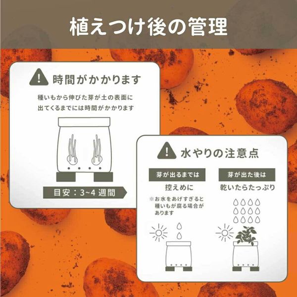 ポテト【プロフ必ず見てください】ページ 51obbKYQePL._AC_UL210_SR210,