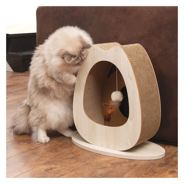 ジェックス Catit Pixi スクラッチャーWide 286536 1個（直送品