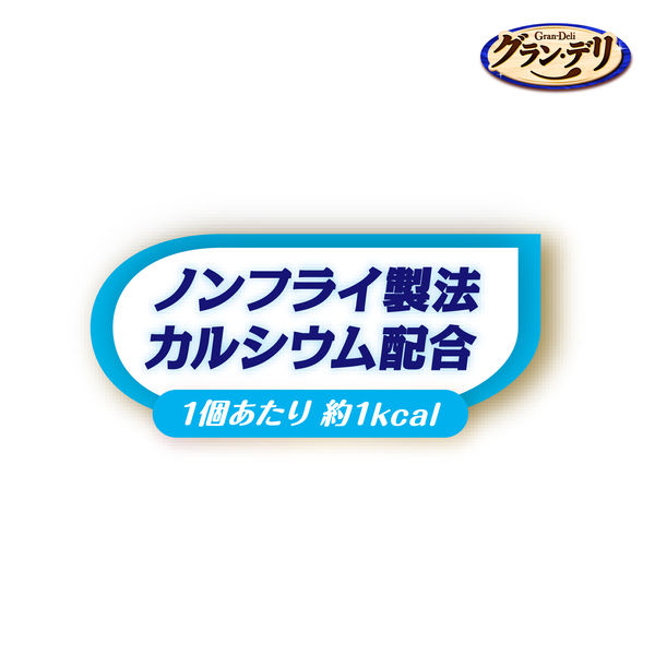 グラン・デリ ワンちゃん専用 おっとっと チキン＆ビーフ味 大容量