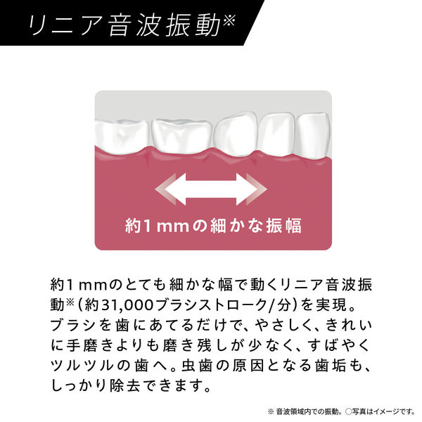 パナソニック 音波振動ハブラシ ドルツ EW-DL39-W 1台 - アスクル