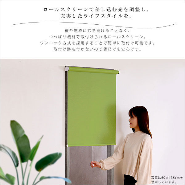 ホームテイスト 壁空け不要 つっぱりロールスクリーン 遮光