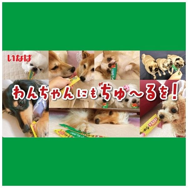 いなば ちゅーる 犬 野菜・チーズバラエティ 総合栄養食 国産 14g×40本