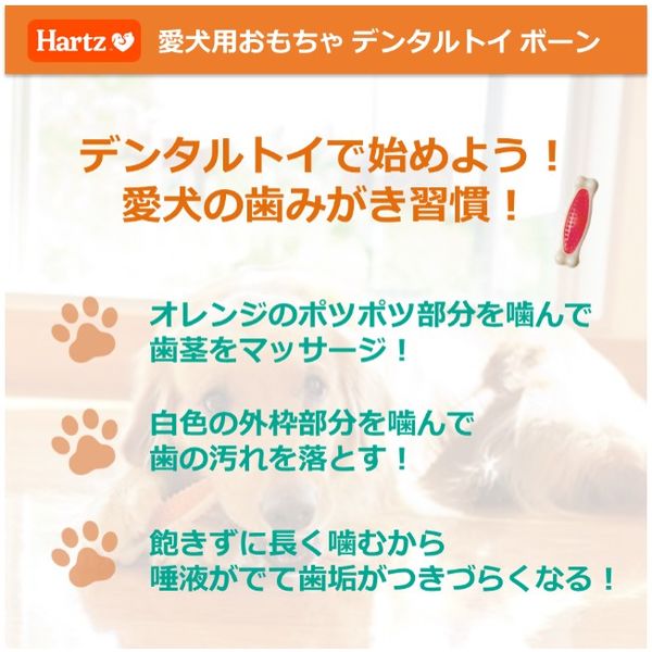 Hartz（ハーツ）犬用 デンタル ボーン M いちごフレーバー 小型犬用 1個 おもちゃ 歯みがき玩具 アスクル