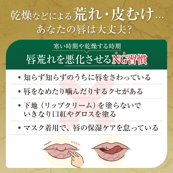 メンソレータム 薬用リップ リペアワン ミントメントールの香り 2.3g