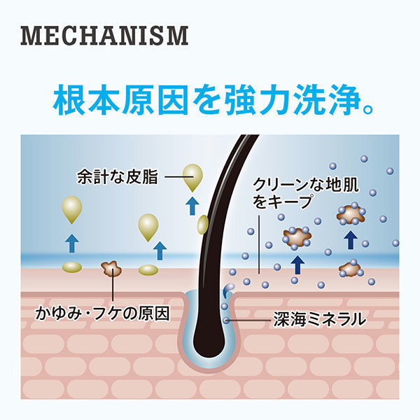 h&s for men（エイチアンドエス）ボリュームアップ プレミアムスカルプ