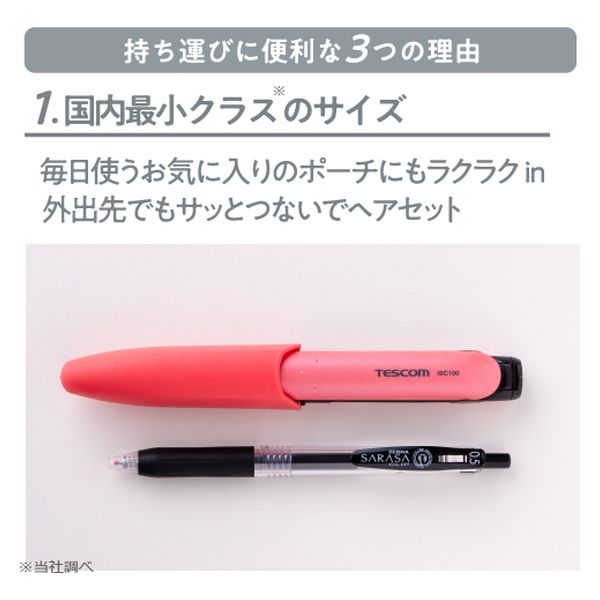 ヘアアイロン USB給電式 コンパクト セラミックコーティング 海外対応