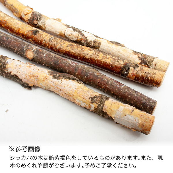 株)リーフ Leaf Corp 鳥 止まり木 国産シラカバ パーチ LL