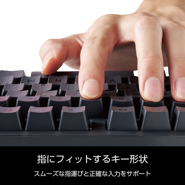 キーボード メカニカル 有線 着脱式ケーブル 静音 赤軸 テンキーレス 