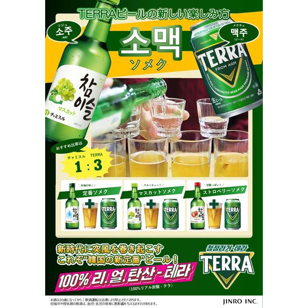 限定製作 格安 TERRA（テラ）韓国 楽天市場】韓国 HITEJINRO + ビール