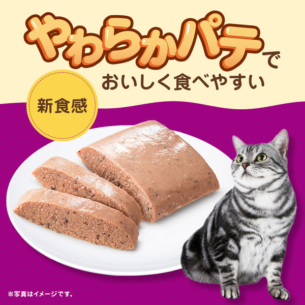 カルカン 猫 やわらかパテ かつお 着色料・発色剤無添加 総合栄養食 70g 16袋 キャットフード ウェット - アスクル