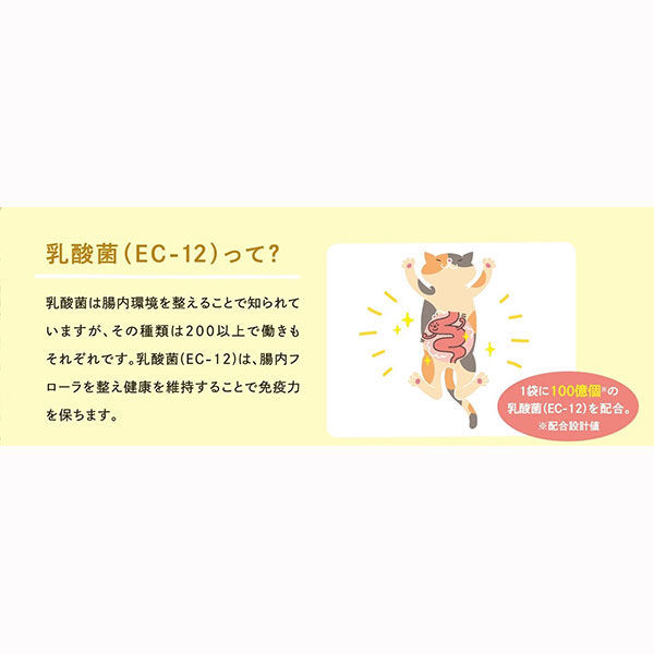 健康缶 免疫サポート ささみペースト 40g 12袋 アイシア 健康缶 免疫サポート ささみペースト 40g 12袋 アイシア