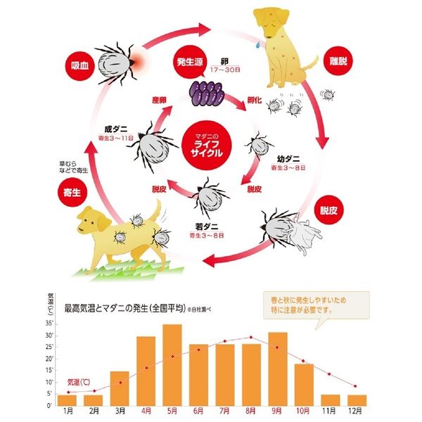 薬用ショットオン 小型犬用 約1ヶ月分 3本入 アース・ペット - アスクル