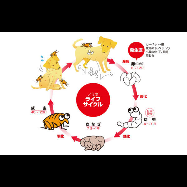 ノミマダニとり＆蚊よけ首輪 小型犬用 1個 アース・ペット アスクル