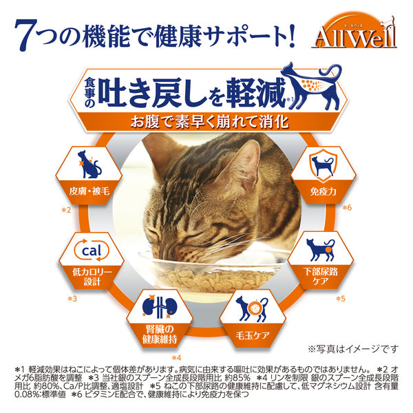 オールウェル 早食いが気になる猫用 チキン味 国産 1.5kg（375g×4袋）5