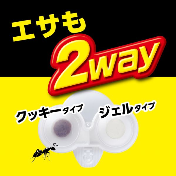 お客　お値引きアリ シート】値引きシール「半額」40×27mm【1冊500枚】【ゆう