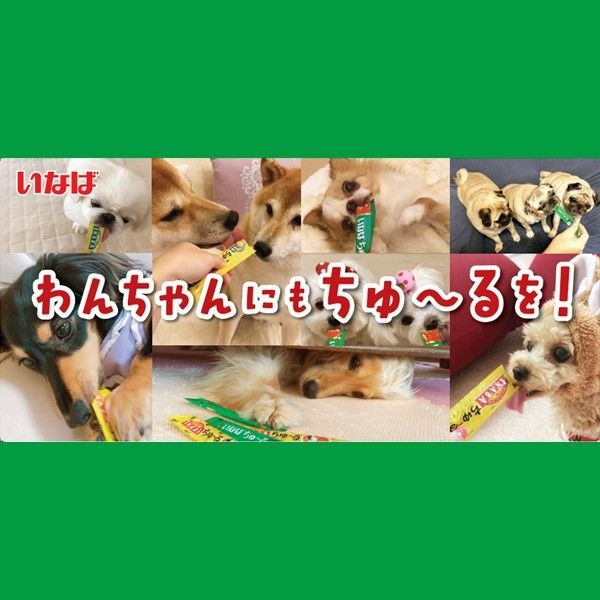 いなば ちゅーる 犬 野菜・ビーフミックスバラエティ 総合栄養食（14g