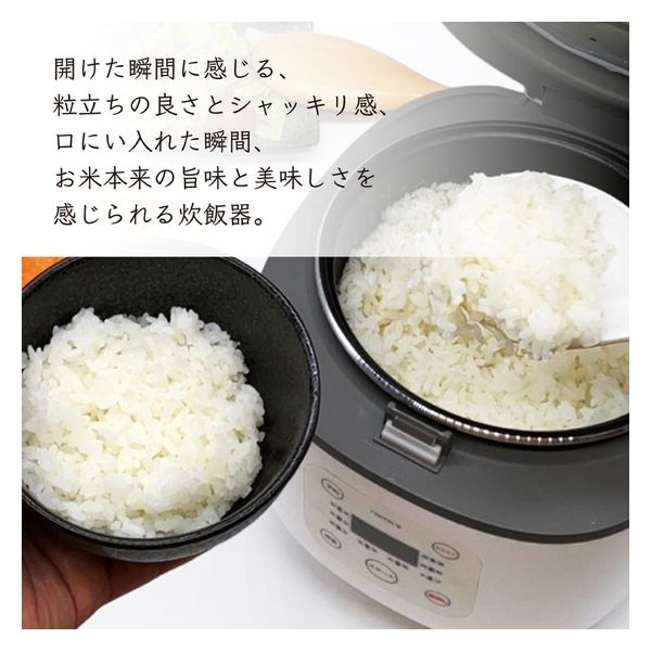 ダイアモンドヘッド ROOMMATE コンパクト炊飯器 OKOMEDAKI ホワイト RM