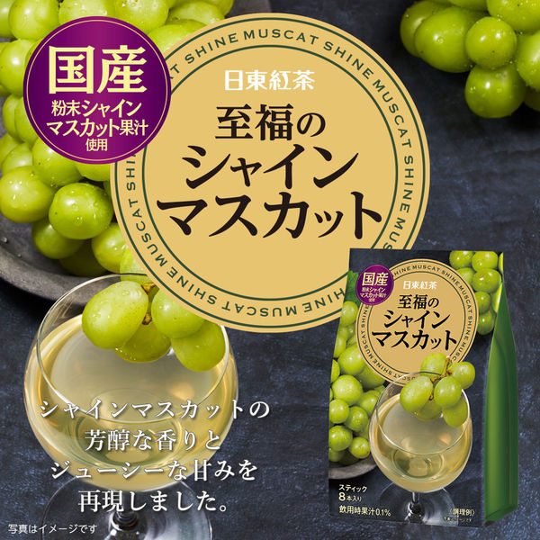 芳醇マスカット 粉末清涼飲料 6袋入×4個 - その他