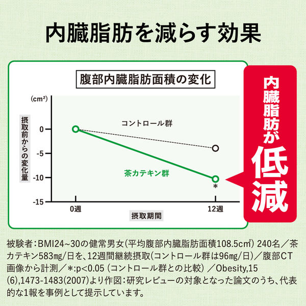 機能性表示食品】花王 ヘルシア 茶カテキンの力 緑茶風味 5箱