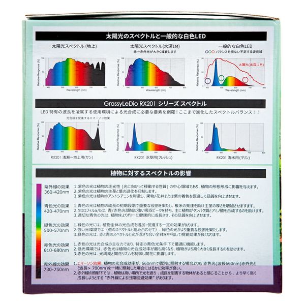 男性に人気！ 格安 ボルクスジャパン グラッシーレディオ RX201 2個