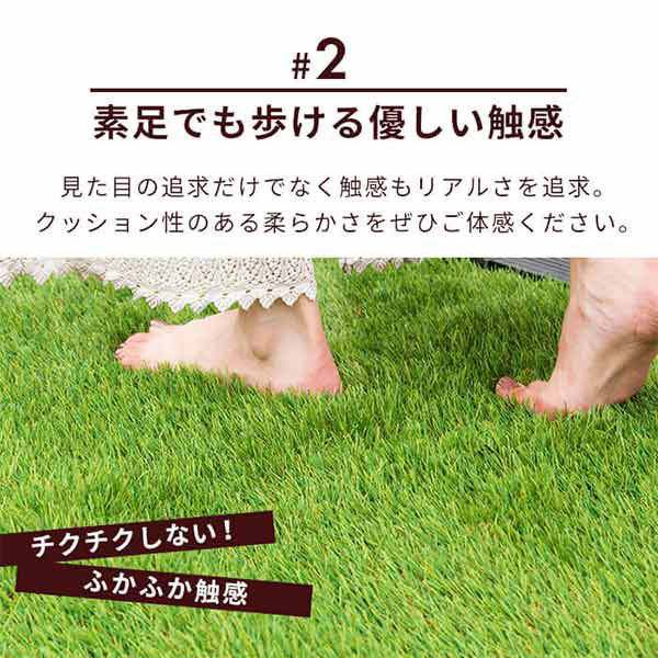 三栄コーポレーション 人工芝ロール 人工芝マット 2m×10m 芝丈