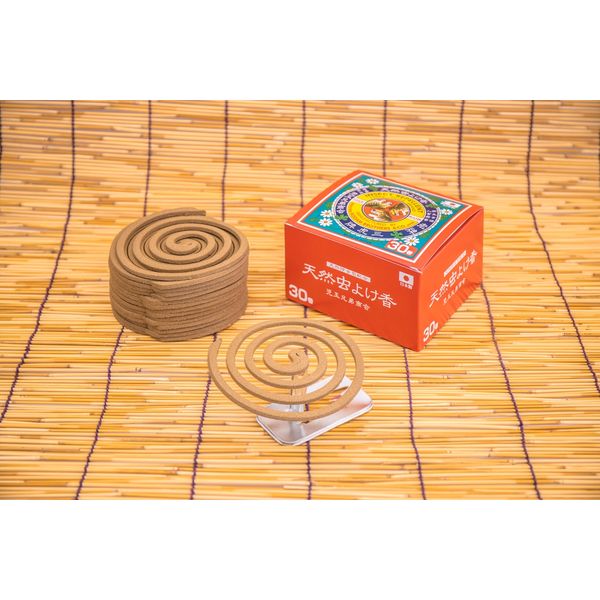 中古　壁掛け　指書　でんでん虫々 Amazon.co.jp: ハンドクラフト 四つ葉のクローバー てんとう虫