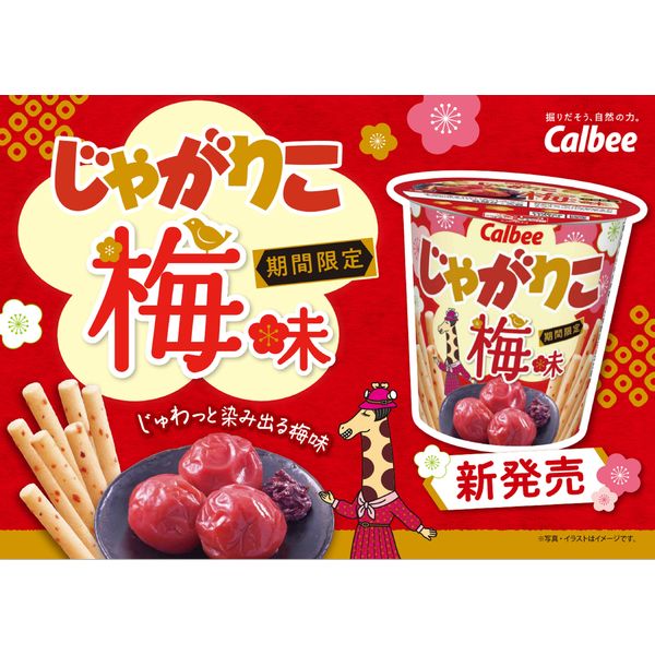 じゃがりこ 梅味 2箱 カルビー ≪12個入×2箱セット≫【Calbee】じゃがりこ 梅味 624g