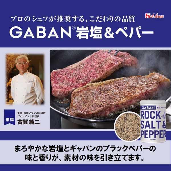 ９０ｇＧＡＢＡＮ　岩塩＆ペパー 2本 ハウス食品