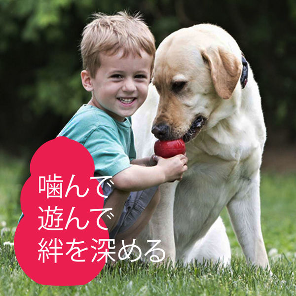 コング チューブペースト チーズ味 全犬種子犬用 140g コングジャパン 犬用 おやつ - アスクル