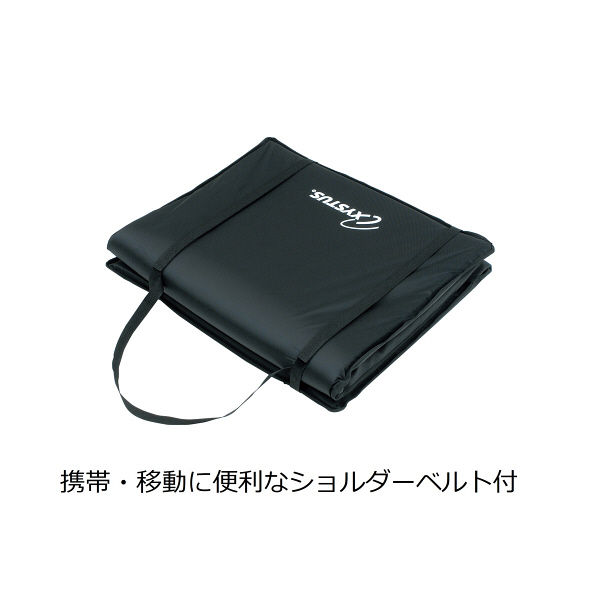 トーエイライト 屋内外兼用エクササイズマット H7244（取寄品