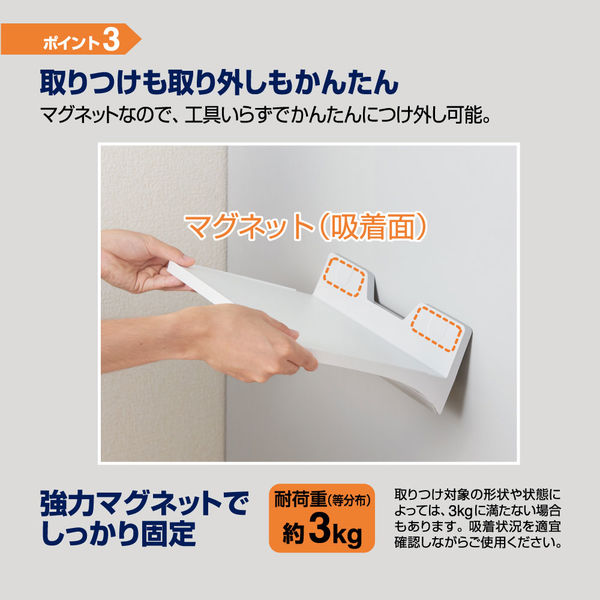 【マグネットローダー付！】 使命の頂天 グレイテストグレート 金 金トレ 1枚 Amazon | KYO-EI(協永産業) MAGNET DRAIN BOLT 2(マグネット