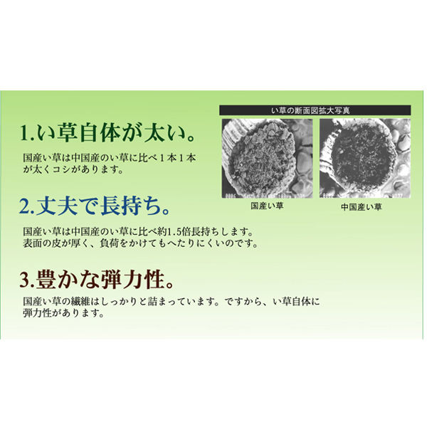 イケヒコ 純国産 い草 上敷き カーペット 糸引織 『岩木』 江戸 イケヒコ 純国産 い草 上敷き カーペット 糸引織 『岩木』 江戸