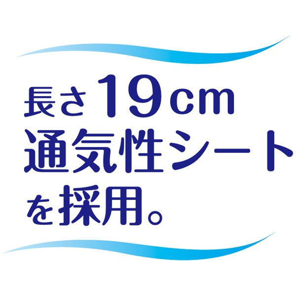 チャームナップ 吸水さらフィ 1個（26枚） 尿ケアナプキン 少量