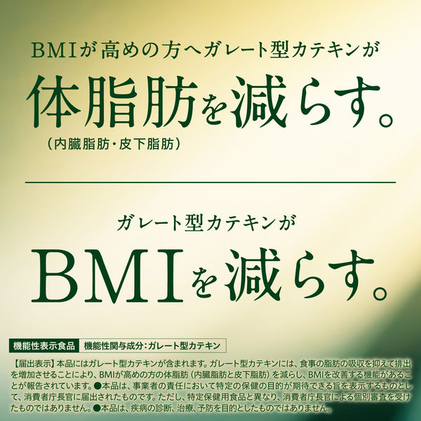 【機能性表示食品】伊藤園 お茶 粉末 おーいお茶 さらさら濃い茶 1袋（40g）